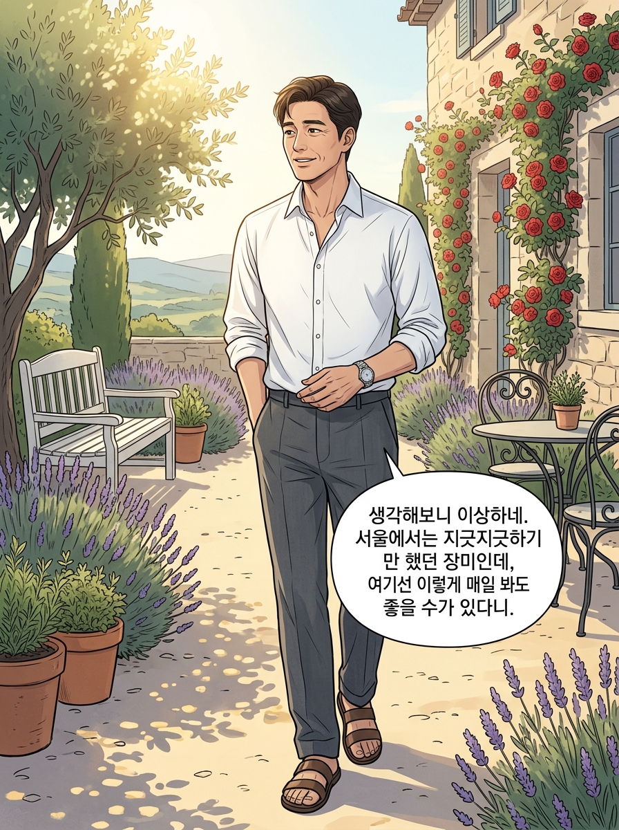 그라스의 아침 16컷